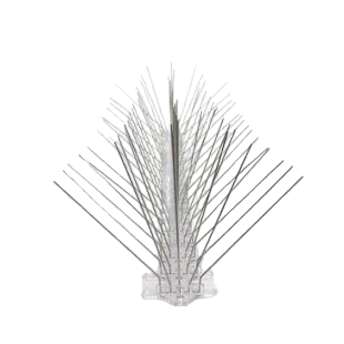 bird spike